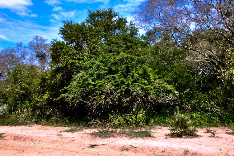 Paisajes - Pixel Studio Foto
