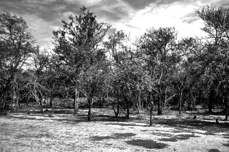 Paisajes - Pixel Studio Foto