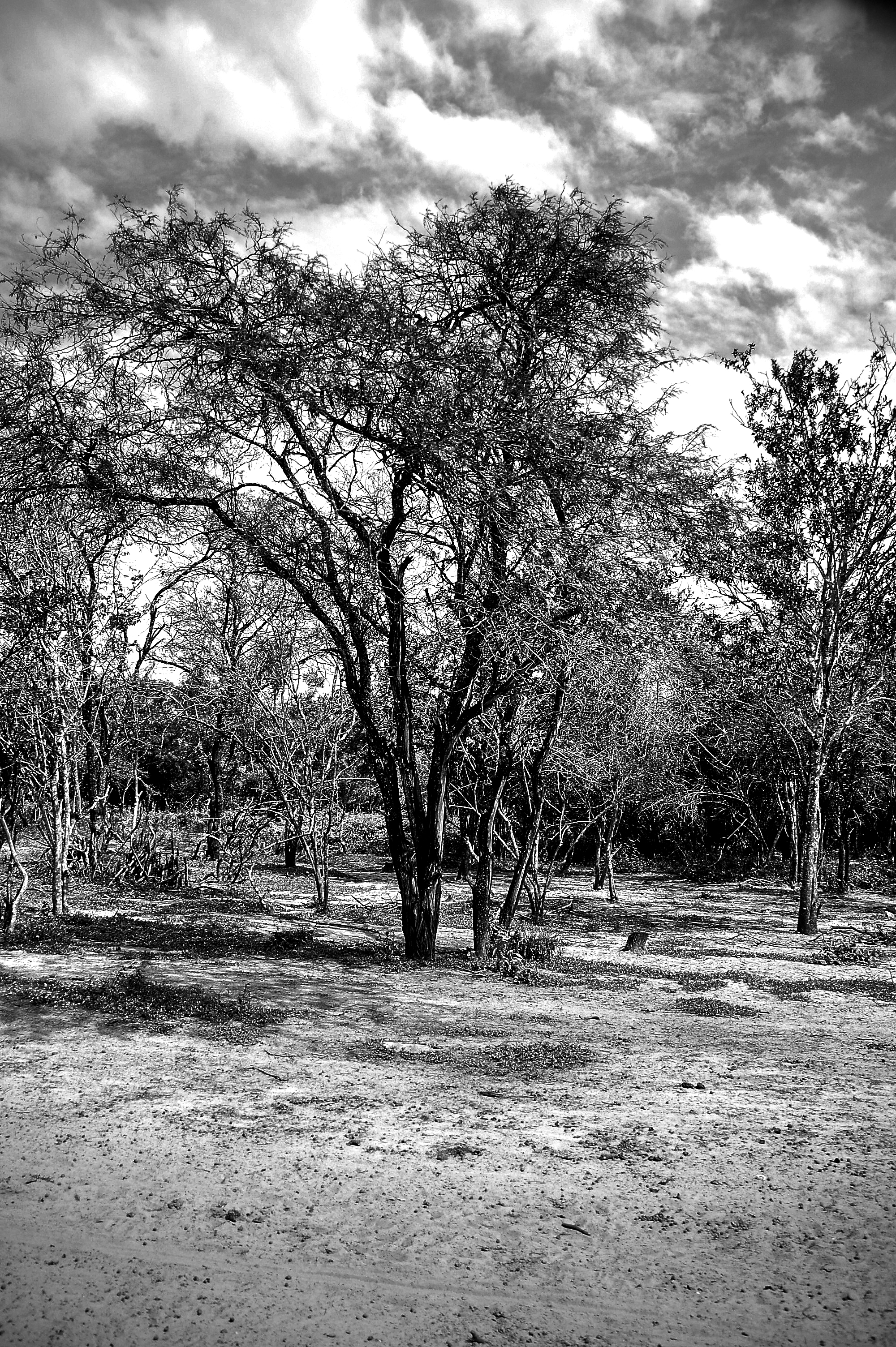Paisajes - Pixel Studio Foto