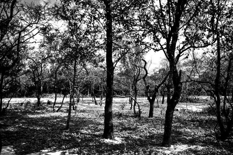 Paisajes - Pixel Studio Foto